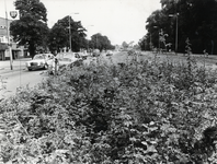 403695 Afbeelding van het slecht onderhouden rozenperk tussen de rijbanen van de Marnixlaan te Utrecht.